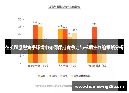 在英超激烈竞争环境中如何保持竞争力与长期生存的策略分析