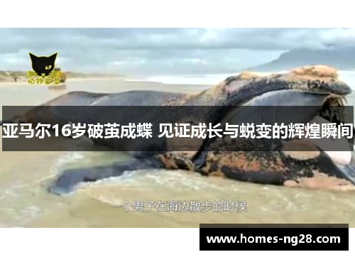 亚马尔16岁破茧成蝶 见证成长与蜕变的辉煌瞬间