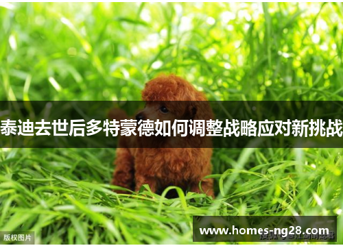 泰迪去世后多特蒙德如何调整战略应对新挑战