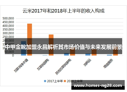 中甲金靴加盟永昌解析其市场价值与未来发展前景