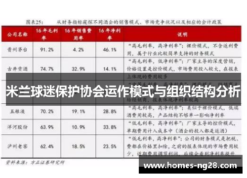 米兰球迷保护协会运作模式与组织结构分析